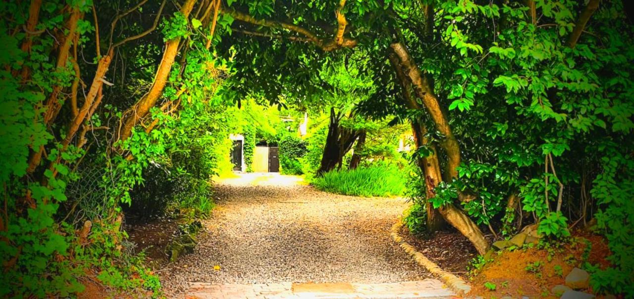 Charming Victorian Coach House Jordanstown Exterior foto